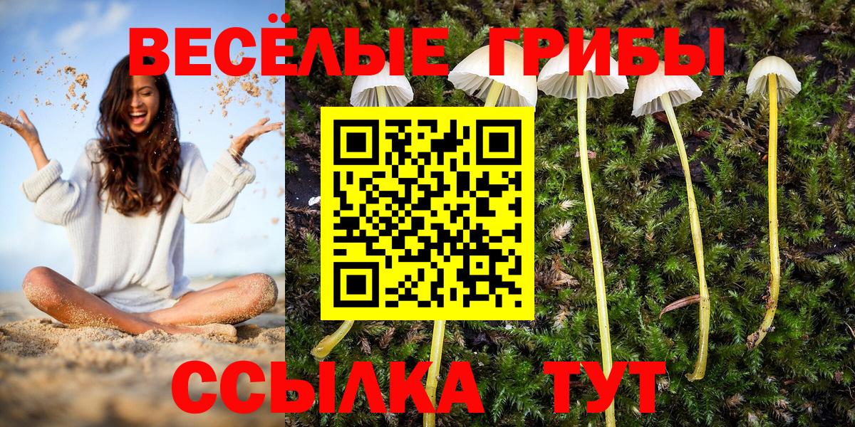 купить   Вход с VPN  Сарапул  Галлюциногенные грибы прущие грибы 