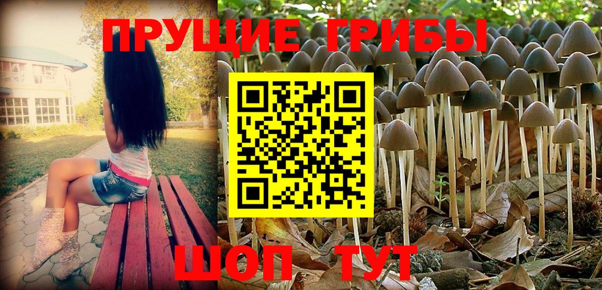 Псилоцибиновые грибы MAGIC MUSHROOMS Сарапул